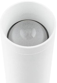 Argon 7223 - LED Nástenné svietidlo GRECO 2xLED/4,2W/230V 3000K biela