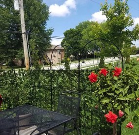 Živý plot na balkón - 300 x 50 cm - umelý