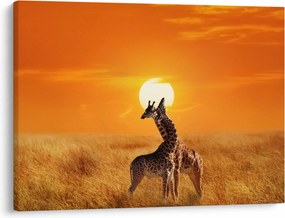 Obraz - Žirafy v národnom parku Serengeti (70x50 cm)