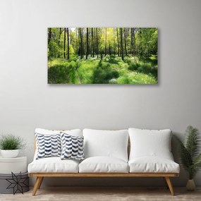 Obraz Canvas Les tráva rastlina príroda 120x60 cm