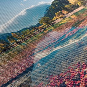 Obraz - Jazero Jasna, Gozd Martuljek, Julské Alpy, Slovinsko (150x105 cm)