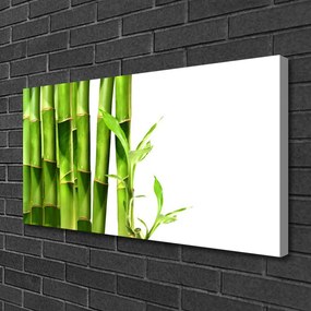 Obraz na plátne Bambus rastlina 120x60 cm