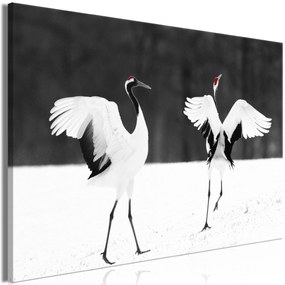 Artgeist Obraz - Dancing Cranes (1 Part) Wide Veľkosť: 60x40, Verzia: Premium Print