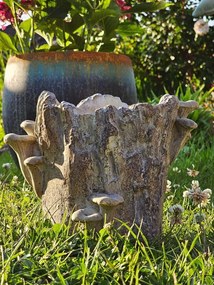 Hnedý cementový kvetináč kmeň stromu s hubami Botanic M - 24*18*18 cm
