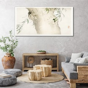 Obraz na plátne Strom vetvy hmyz listy