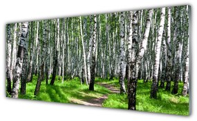 Obraz na akrylátovom skle Stromy tráva príroda 125x50 cm