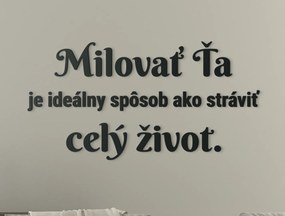 drevko Citát o láske Milovať ťa je ideálny spôsob, ako stráviť celý život Rozmer obrazu: 30,5 x 60 cm, Farba dekorácie: Čierna