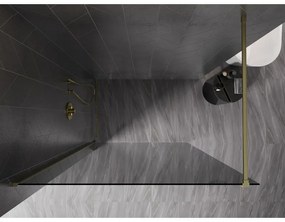 Mexen, Mexen Kioto-X sprchová stena 50 x 200 cm, grafit 10 mm, zlatý kartáč - 800-050-101-55-40-X