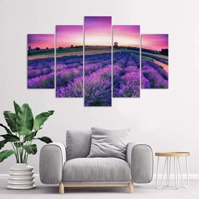 Obraz na plátně pětidílný Levandulově fialové pole - 200x100 cm