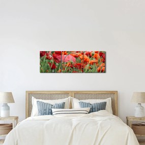 Obraz z poľa vlčích makov (s hodinami) (90x30 cm)