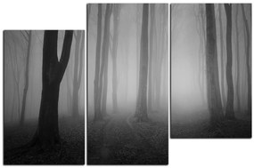 Obraz na plátne - Hmla v lese 1182QD (135x90 cm)