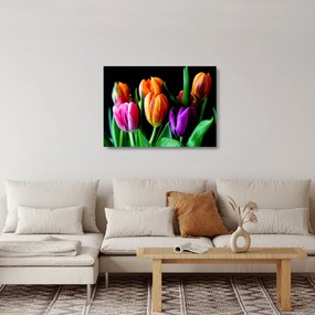 Sklenený obraz tulipánov na čiernom pozadí (70x50 cm)