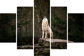 Obraz - Vytie vlka (150x105 cm)