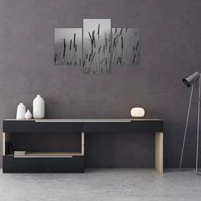 Obraz - Steblá trávy (90x60 cm)