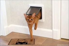 Hanse Home, Rohožka Hello s mačkou 105703 – na von aj na doma, 45x70, hnedá, chodba / predsieň