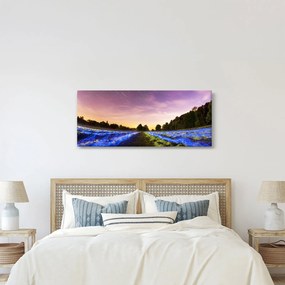 Obraz farebného poľa (120x50 cm)