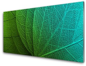 Obraz na akrylátovom skle Abstrakcie listy rastlina 100x50 cm