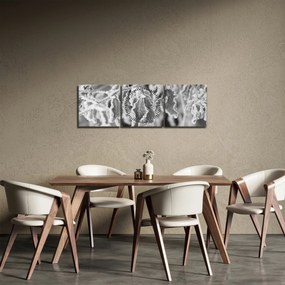 Obraz - Zmrznuté listy, čiernobiela (s hodinami) (90x30 cm)