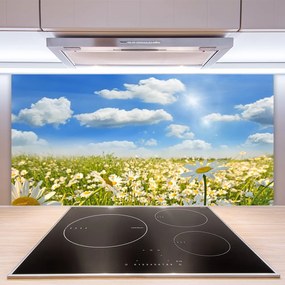 Sklenený obklad Do kuchyne Lúka sedmokrásky príroda 125x50 cm