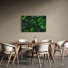 Obraz listov Monstery (90x60 cm)