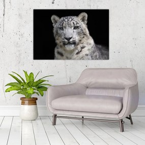 Obraz - Leopard snežný (90x60 cm)