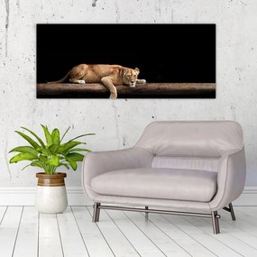Obraz - Levice (120x50 cm)
