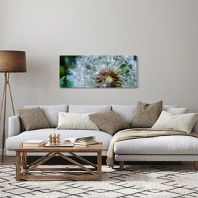 Obraz odkvitnutej púpavy (120x50 cm)