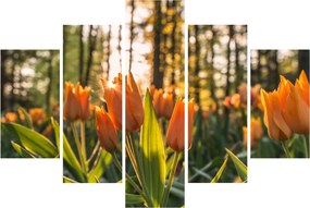 Obraz - oranžové tulipány (150x105 cm)