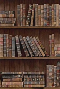 MINDTHEGAP Book Shelves - tapeta