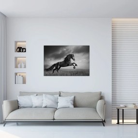 Obraz - Kôň čiernobiely (90x60 cm)