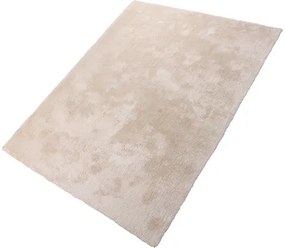 Dekoratívny koberec Shaggy Wellness 200 x 300 cm béžový