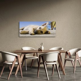 Obraz ležiaceho šteňaťa (120x50 cm)