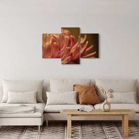 Obraz detailu kvety (90x60 cm)