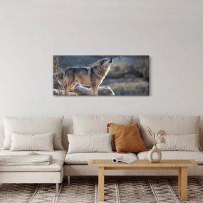 Obraz - Vyjúci vlk (120x50 cm)