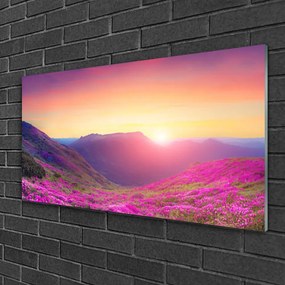 Skleneny obraz Slnko hory lúka príroda 120x60 cm