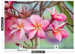 Fototapeta Vliesová Kríky ružová 104x70 cm