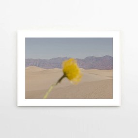 The Poster Club Plagát Desert Mirage by Nicole Mason 40x50 cm