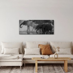 Obraz slonov - čiernobiely (120x50 cm)