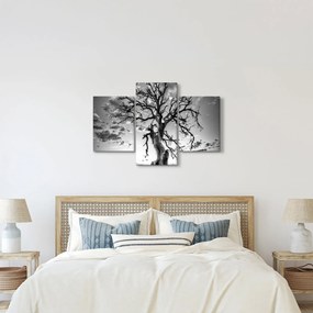 Obraz - Čiernobiely strom (90x60 cm)