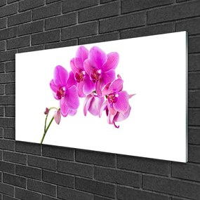 Skleneny obraz Vstavač kvet orchidea 120x60 cm
