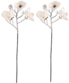 Set kvetov Magnólia, 2 ks, biela so zasnežením
