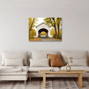 Obraz mosta v Oregone (70x50 cm)