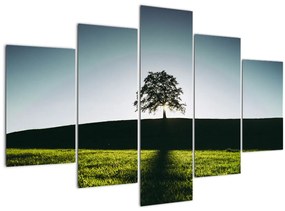 Obraz prírody - strom (150x105 cm)
