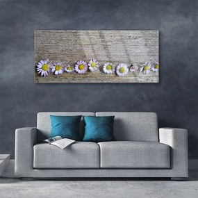 Obraz plexi Sedmokráska rastlina príroda 125x50 cm