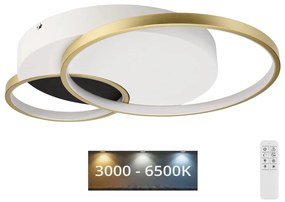 Lamkur Stmievateľné stropné svietidlo BENITO LED/31W/230V 3000-6500K biela/zlatá LA50973