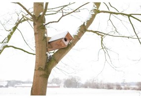 Drevená búdka pre sovu – Esschert Design