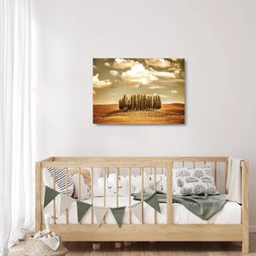 Sklenený obraz čistinky (70x50 cm)