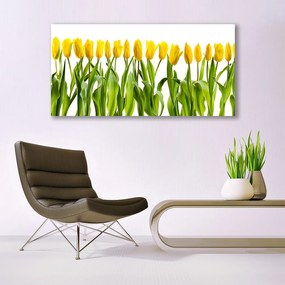 Obraz plexi Tulipány kvety príroda 120x60 cm