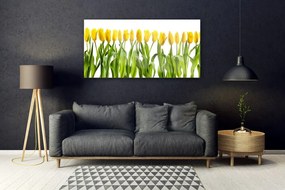 Obraz plexi Tulipány kvety príroda 120x60 cm