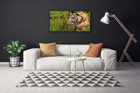 Obraz Canvas Tiger zvieratá 140x70 cm